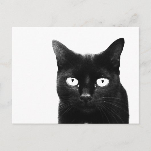 De Zwarte Kat Briefkaart (Voorkant)
