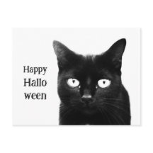 De Zwarte Kat Halloween