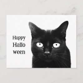 De Zwarte Kat Halloween Briefkaart