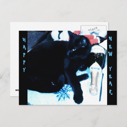 De ZWARTE KAT van CHAMPAGNE, het briefkaart van he (Voorkant / Achterkant)