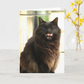 De Zwarte Kat van Halloween met Één Oog Kaart (Gele Bloem)