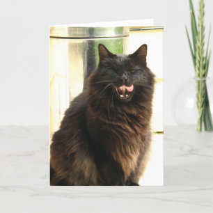 De Zwarte Kat van Halloween met Één Oog Kaart