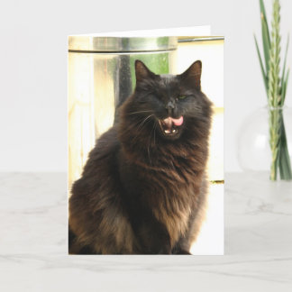 De Zwarte Kat van Halloween met Één Oog Kaart