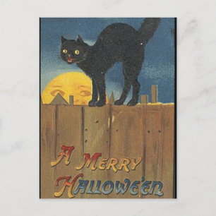 De Zwarte Kat van KRW Vintage Halloween Briefkaart