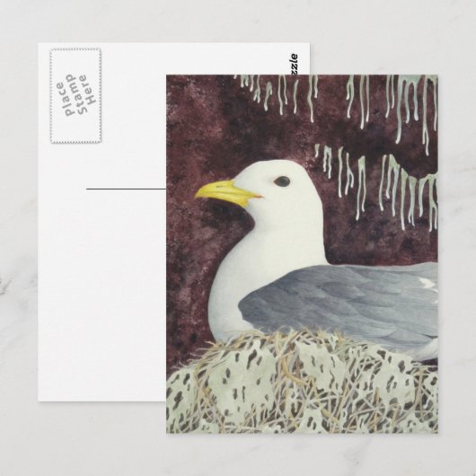 De zwarte Kittiwake Briefkaart (Voorkant / Achterkant)