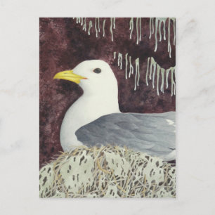 De zwarte Kittiwake Briefkaart