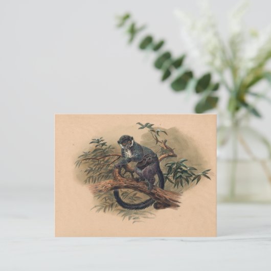 De zwarte Lemur van Joseph Wolf Briefkaart (Staand voorkant)