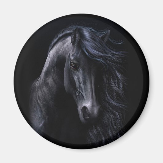 De zwarte magneet (Voorkant)