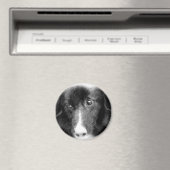 De zwarte Magneet van de Kunst van Border collie D (Insitu (Vaatwasser))