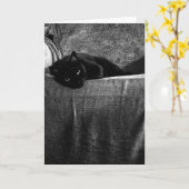 De zwarte Op z'n gemak Wenskaarten van de Kat Kaart (Gele Bloem)