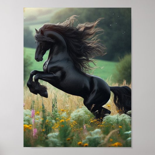 De Zwarte Paard Muurposter Poster (Voorkant)