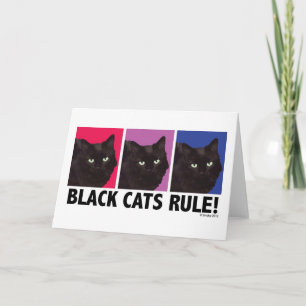 De zwarte REGEL van Katten! Lege Kaart