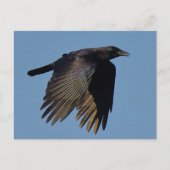 De zwarte rij briefkaart (Voorkant)