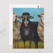De zwarte schapen briefkaart (Voorkant / Achterkant)