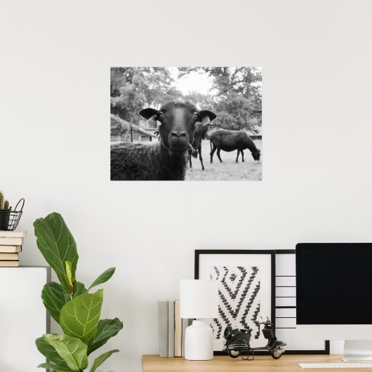 De zwarte schapen poster (Thuiskantoor)