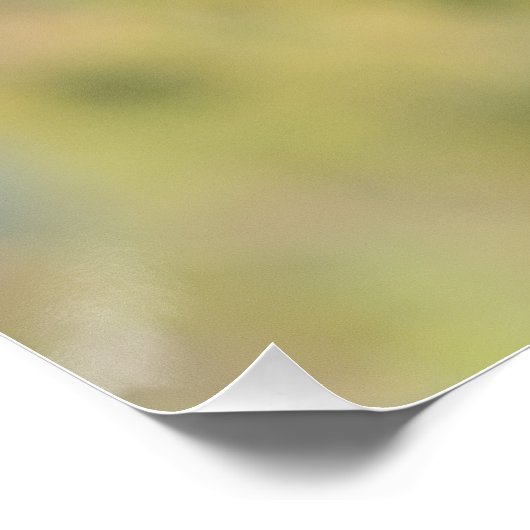 De zwarte staart op zijn tak perfect poster (Hoek)