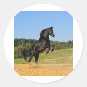 De Zwarte Stallion Ronde Sticker