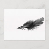 De Zwarte van de veer Briefkaart (Voorkant)