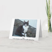 De zwarte Witte Kat van N, GOED, HALLO DAAR, HOE Kaart (Achterkant)