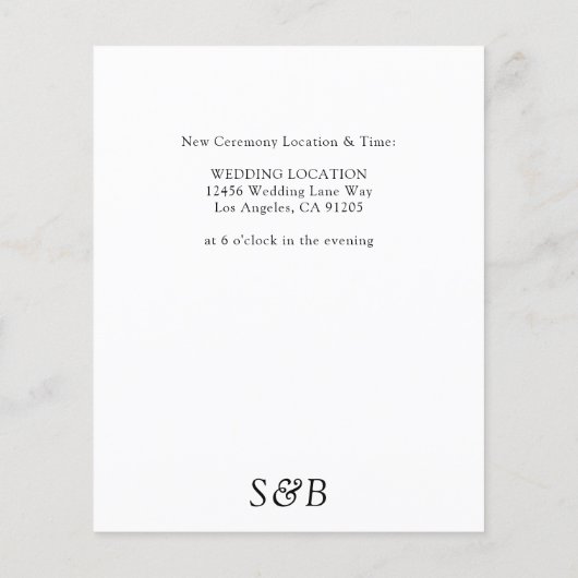 De zwarte & Witte Verandering van de begroting de Flyer (Achterkant)