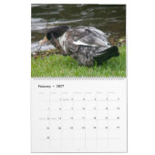 DE ZWARTGEKAPTE EEND 2026 KALENDER (Feb 2027)