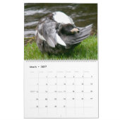 DE ZWARTGEKAPTE EEND 2026 KALENDER (Mar 2027)