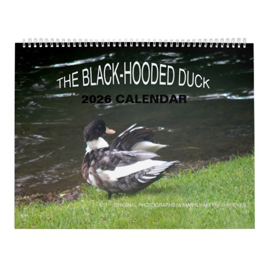DE ZWARTGEKAPTE EEND 2026 KALENDER (Hoes)