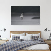 De zwartkopmeeuw Ver.Summer in Japan Canvas Afdruk (Insitu (Slaapkamer))