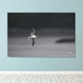 De zwartkopmeeuw Ver.Summer in Japan Canvas Afdruk (Insitu (Houten vloer))
