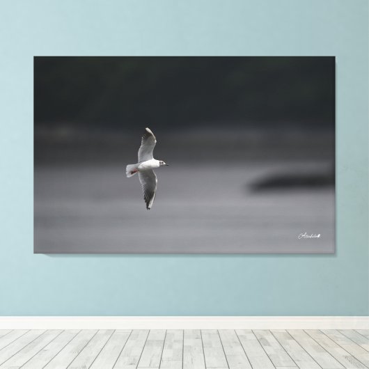 De zwartkopmeeuw Ver.Summer in Japan Canvas Afdruk (Insitu (Houten vloer))