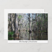 De zwemmen van Louisiana Briefkaart (Voorkant / Achterkant)