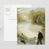 De zwerfschapen briefkaart (Voorkant / Achterkant)