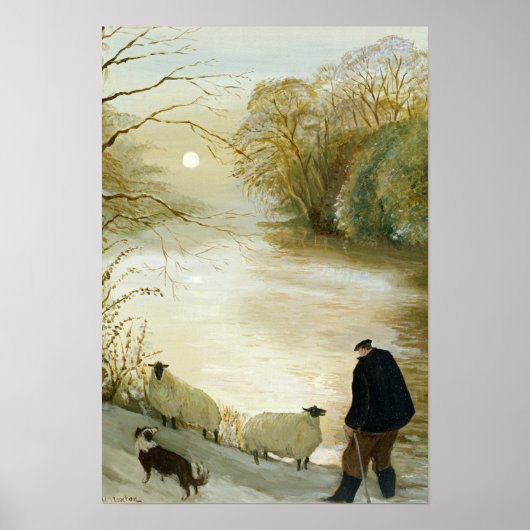 De zwerfschapen poster (Voorkant)