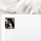 de zwitserse berghond etiket (Insitu)