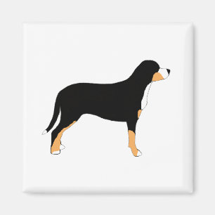 de zwitserse berghondkleur silhouette magneet