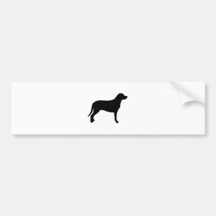 de zwitserse berhond silhouette bumpersticker