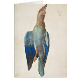 Dead Blue Roller van Albrecht Durer
