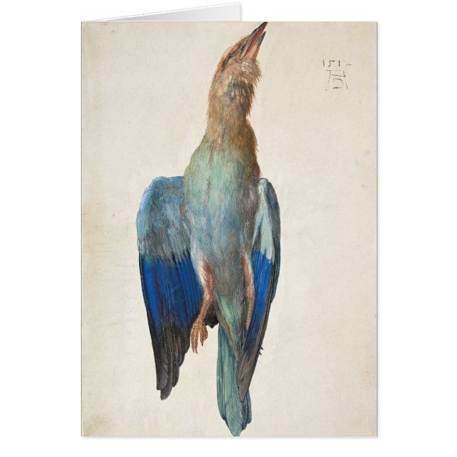 Dead Blue Roller van Albrecht Durer (Voorkant)