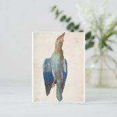 Dead Blue Roller van Albrecht Durer Briefkaart (Staand voorkant)