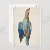 Dead Blue Roller van Albrecht Durer Briefkaart (Voorkant / Achterkant)