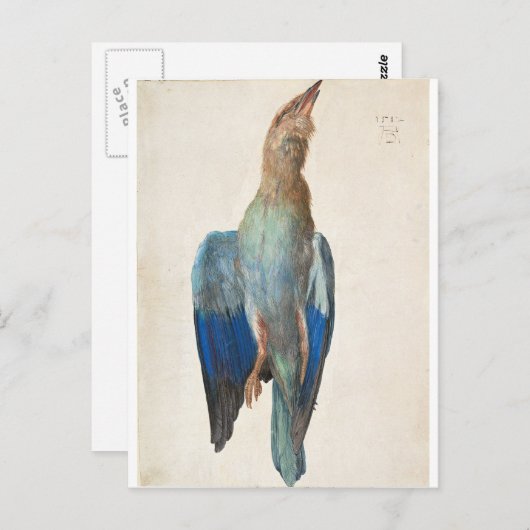 Dead Blue Roller van Albrecht Durer Briefkaart (Voorkant / Achterkant)
