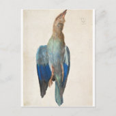 Dead Blue Roller van Albrecht Durer Briefkaart (Voorkant)