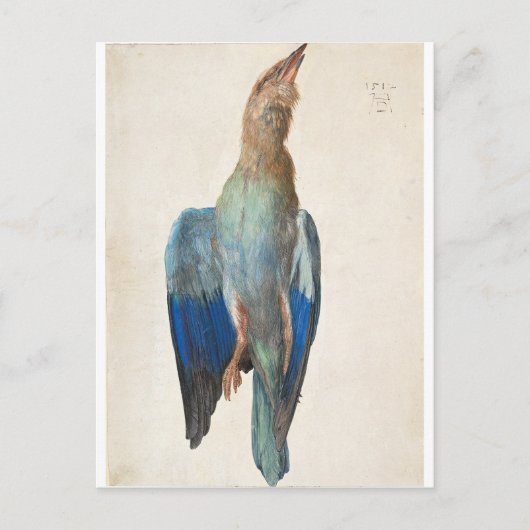 Dead Blue Roller van Albrecht Durer Briefkaart (Voorkant)