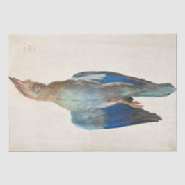 Dead Blue Roller van Albrecht Durer Tissuepapier