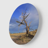 Dead Camel Thorn Grote Klok (Hoek)