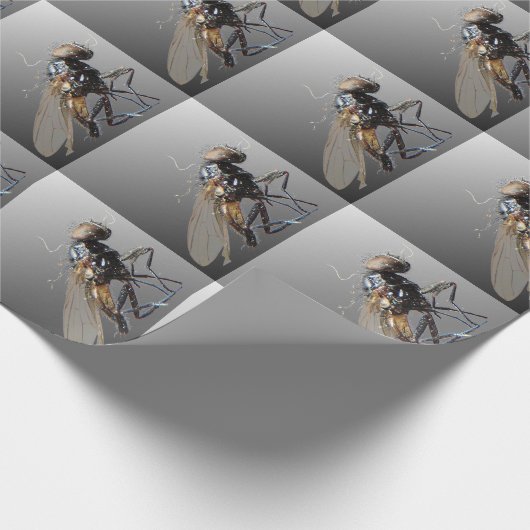 Dead Fly Cadeaupapier (Hoek)