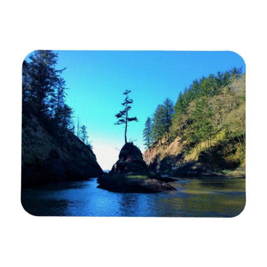 Dead Man Cove, Cape Dispression, Washington Magneet (Horizontaal)