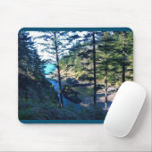 Dead Man Cove, Cape Dispression, Washington Muismat (Met muis)