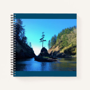 Dead Man Cove, Cape Dispression, Washington Notitieboek