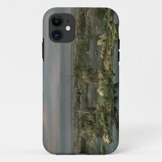 Dead Marshes Case-Mate iPhone Case (Achterkant)